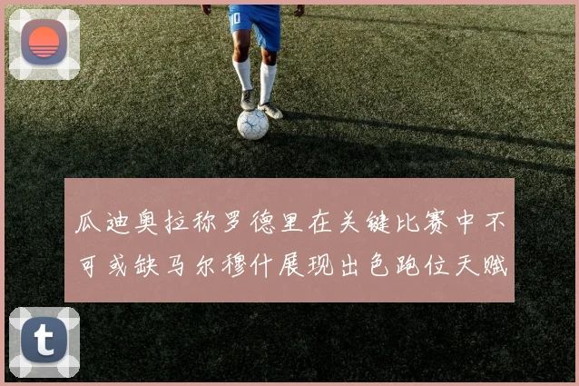瓜迪奥拉称罗德里在关键比赛中不可或缺马尔穆什展现出色跑位天赋